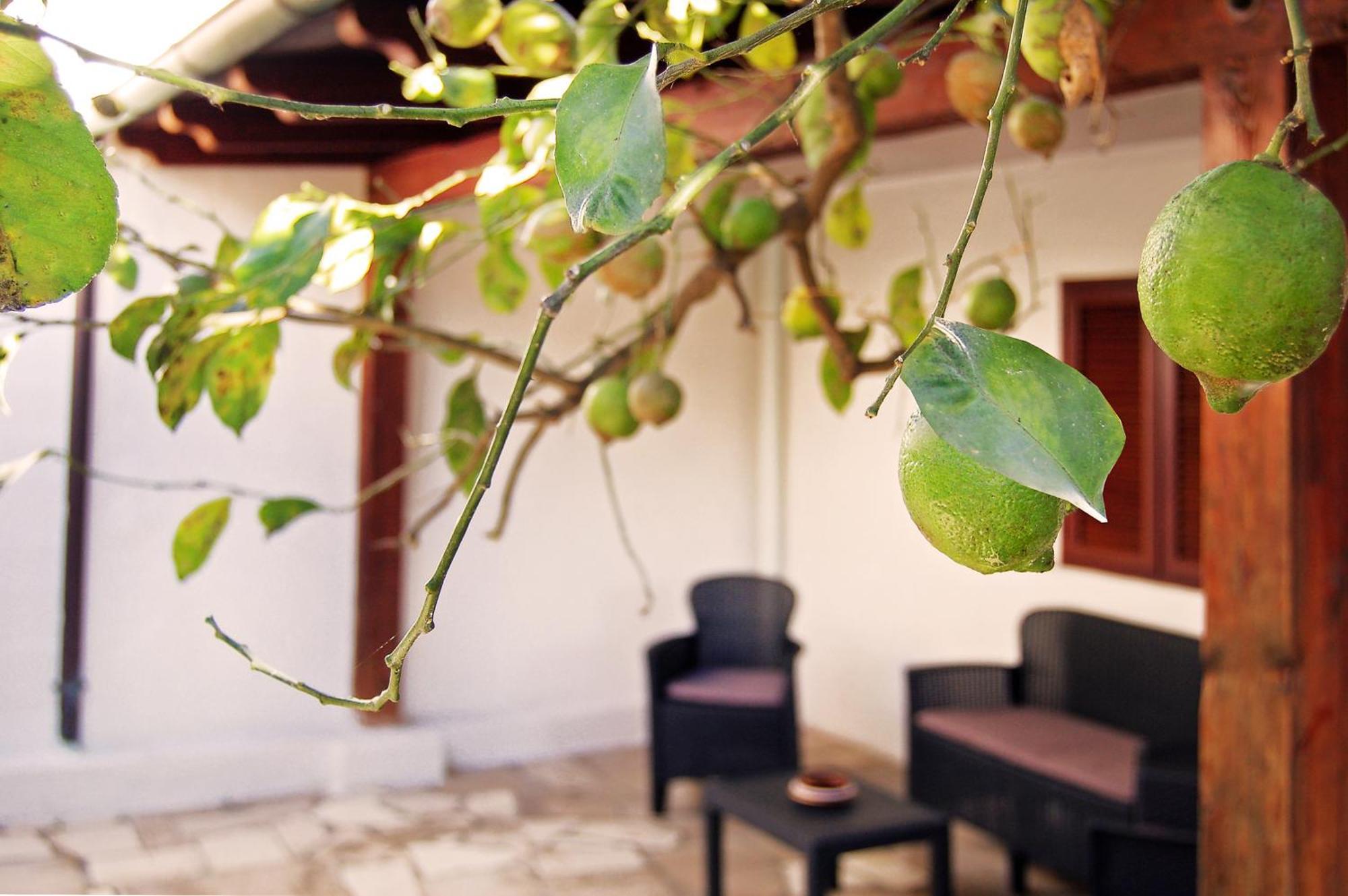 Sea Breeze Villa - Luna Apartment Bari Exterior photo